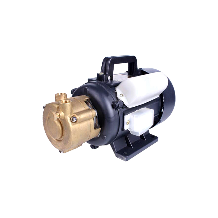 旋渦泵.jpg 旋渦泵.jpg